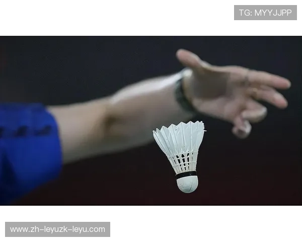 羽毛球所谓高远球